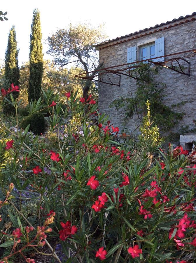 Bed and Breakfast Le Petit Mas Vogue Exterior foto
